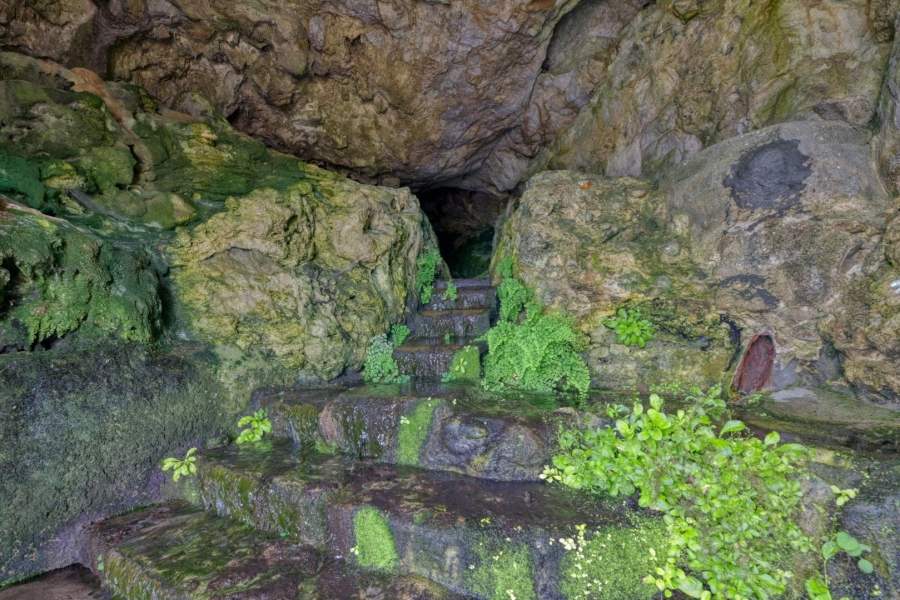 0 Bedroom Property for Sale in De Kelders Western Cape